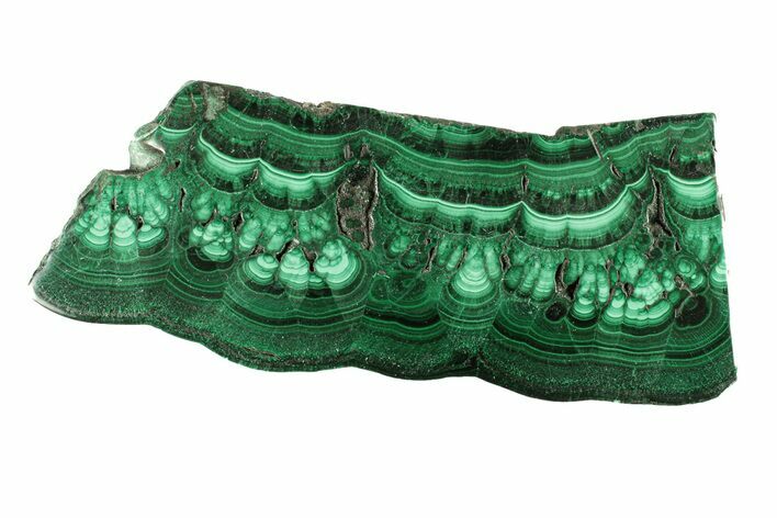 Flowery Polished Malachite Slab - DR Congo #266812